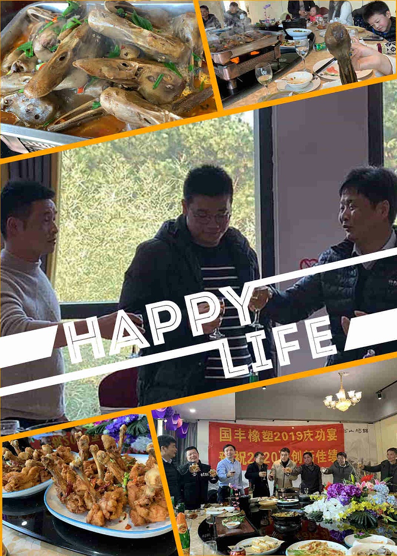TPE廠家國豐橡塑慶功宴